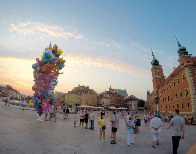 DCIM100GOPROGOPR0211.