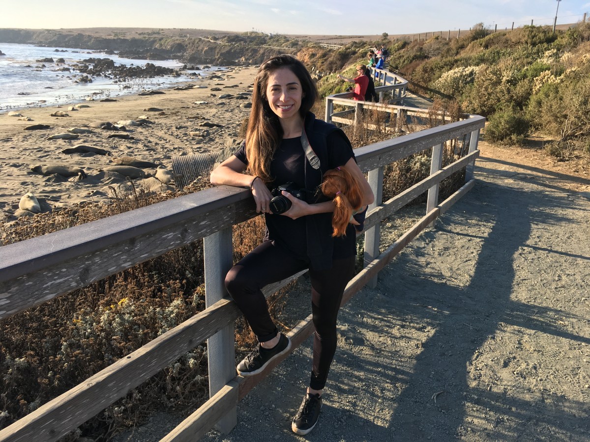 De São Francisco à Los&nbsp;Angeles